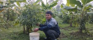 NLRP II Beneficiary Tharu In His Banana Orchard